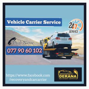 WhatsApp Image 2024-11-23 at 10.11.57 PM (1)